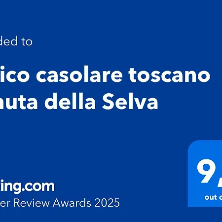 Tipico Casolare Toscano Tenuta Della Selva *